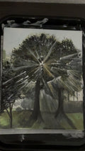 Shine Tree