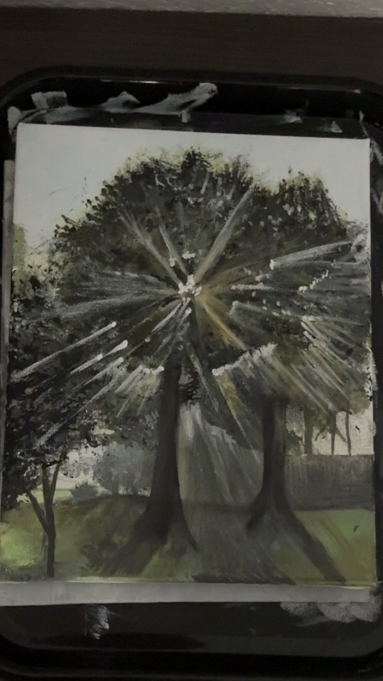 Shine Tree